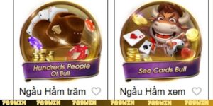 Cách chơi Ngầu Hầm trăm người