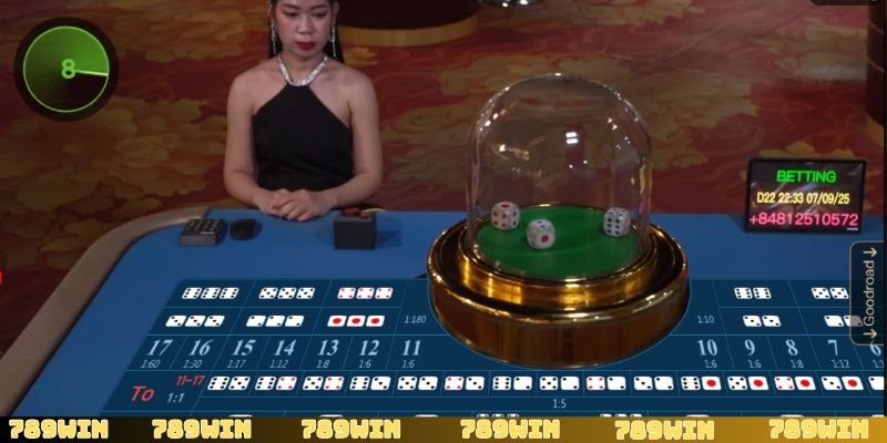 Cách chơi Tài Xỉu cùng một số cửa cược phổ biến nhất