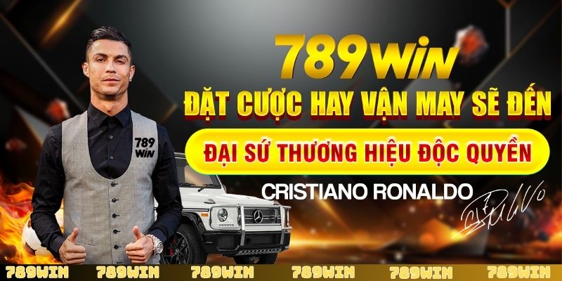 Giới thiệu về hệ thống chính sách bảo mật của nhà cái 789Win