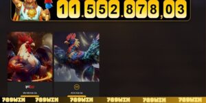Đá gà WS168