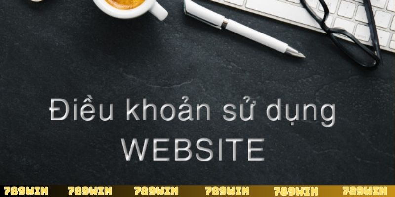 Tổng quan về điều kiện điều khoản của nhà cái 789Win